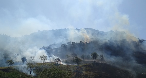 Rio Preto e Parapeúna – fogo queima matas e pastagens